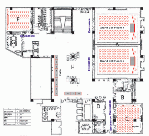 Agile India 2013 Conference Layout